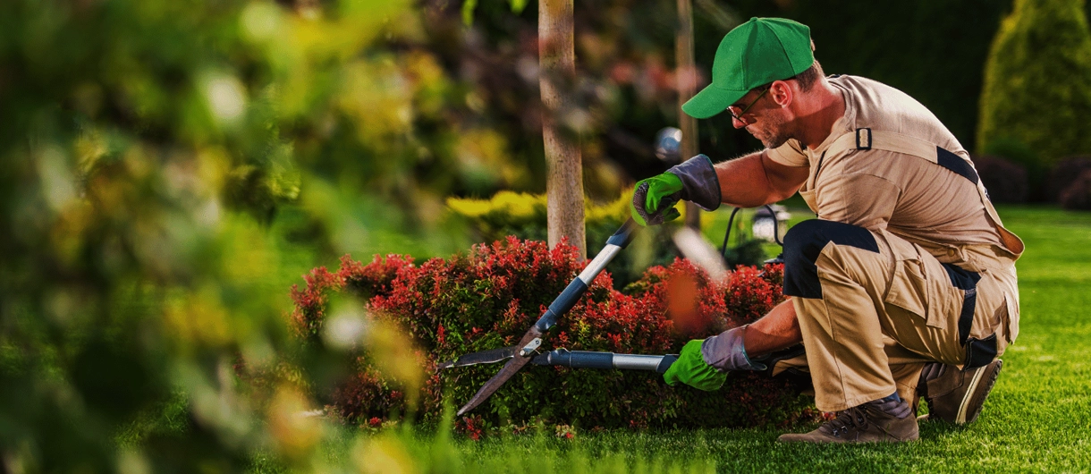 Gardener Landscape Services Saudi Arabia