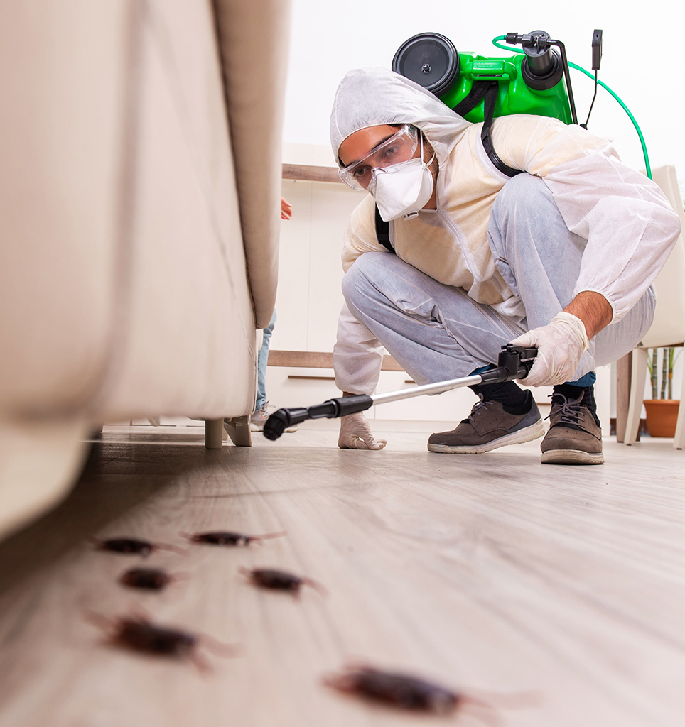 Pest Control Services Saudi Arabia technician