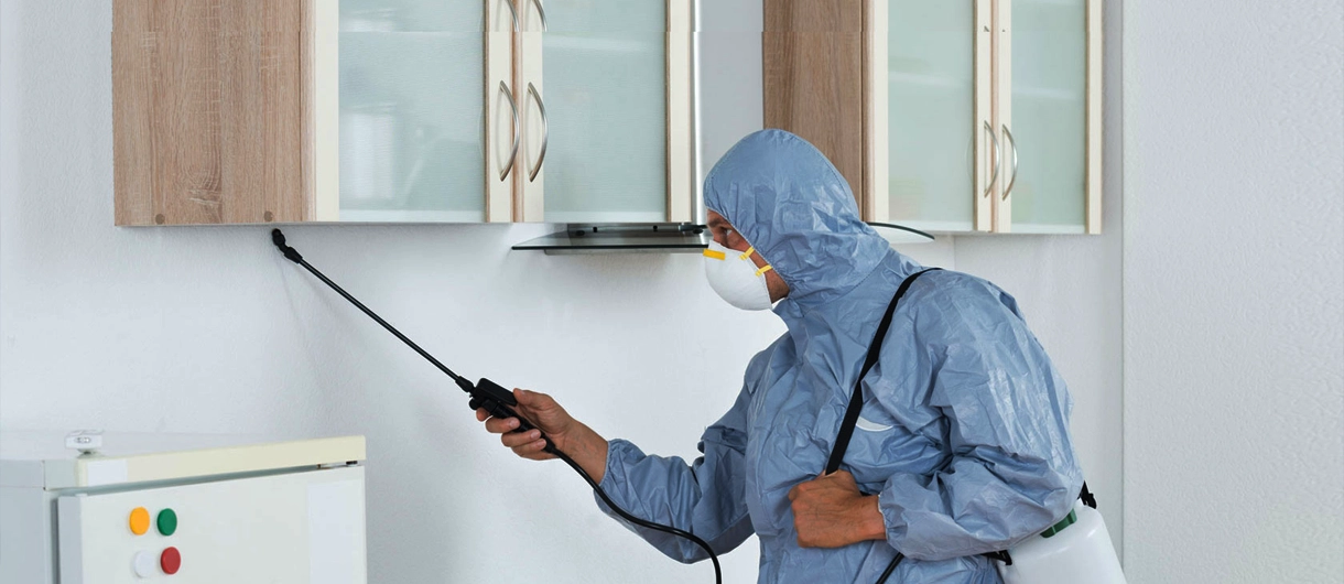 Deep Cleaning & Pest Control Services Saudi