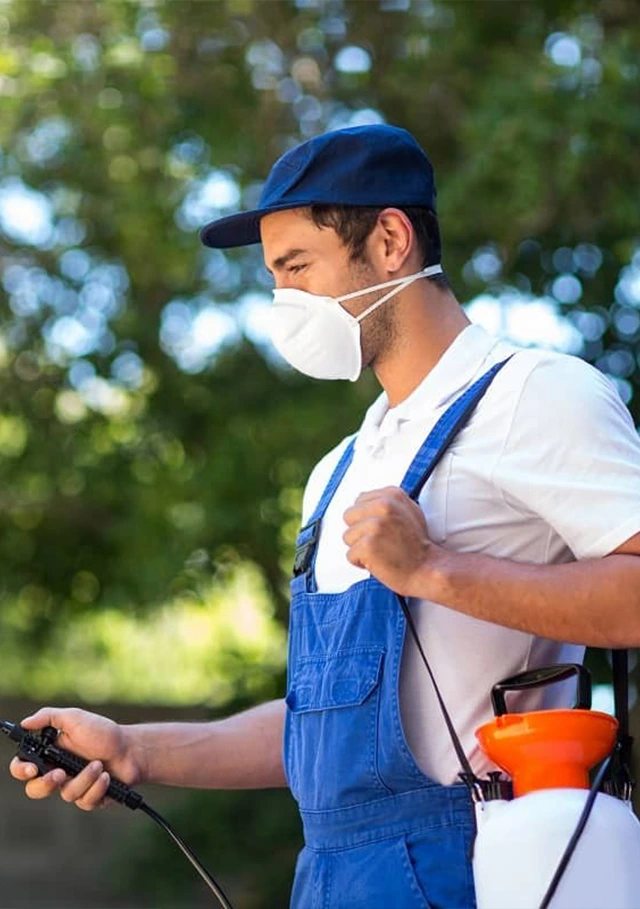 Benefits of Choosing Our Top-Notch Pest Control Services In Saudi Arabia