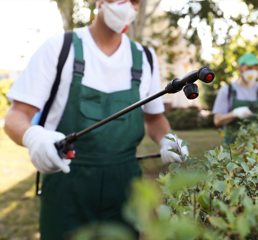 Pest Control Services