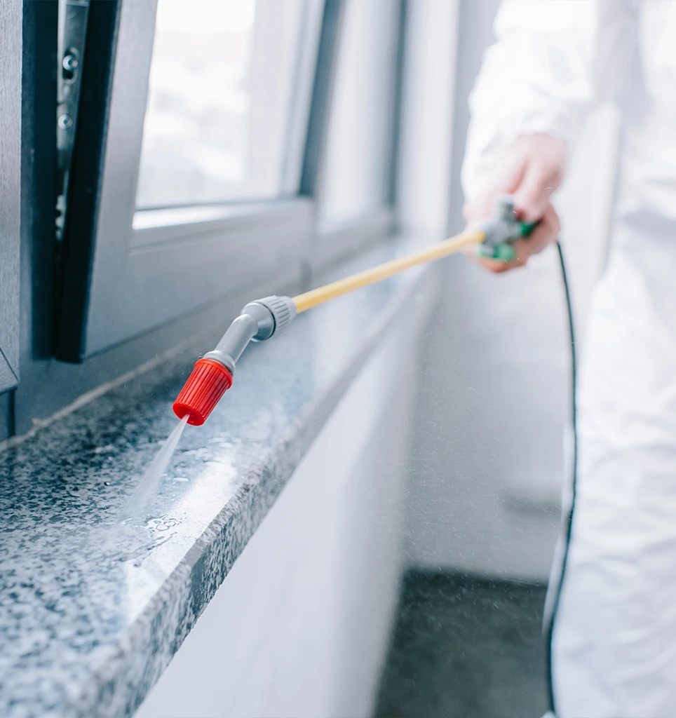 Why Choose Us for Expert Pest Control Services In KSA