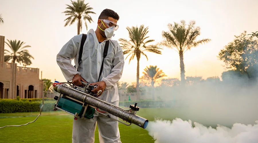 Best Pest Control Services in KSA Ants, Mosquito & Rodent Treatment Experts